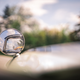 Image for article titled The Honda S600 Drives Like It's Where All The Fun Comes From